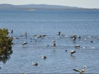 Denmark Waters B&B 