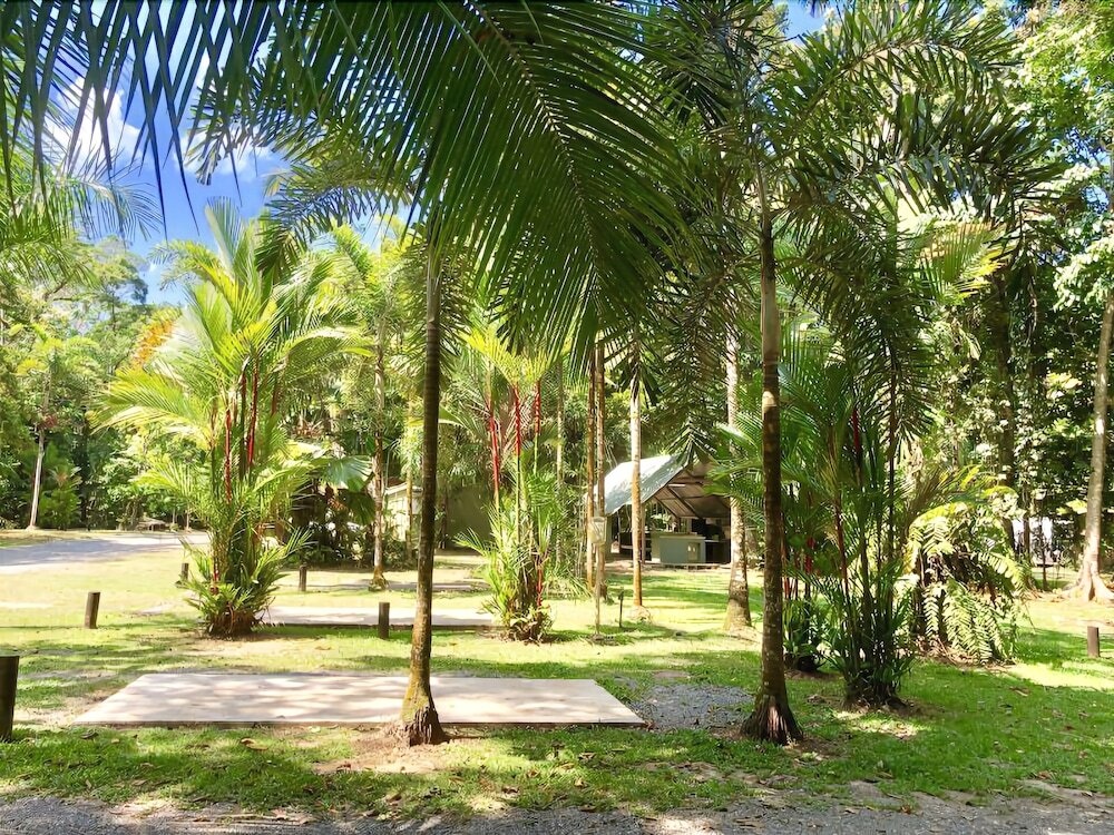 Lync Haven Rainforest Retreat 