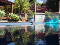 Noosa Edge Nudist Retreat 