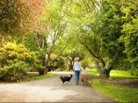 Johanna River Farm & Cottages 