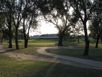 Emerald Executive Apartments 