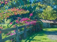 Eumundi Dairy Retreat 