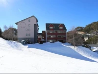 Snow Ski Apartments 