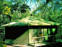 Twin Falls Bush Cottages 