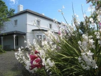 The Grove Cottages 