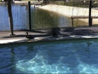 Fun Waters 