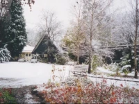 Mountain View Holiday Retreat 