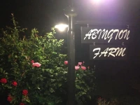 Abington Farm 