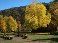 Willowlake Cottages 