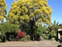 Ipswich City Motel 