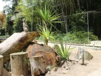 Jamala Wildlife Lodge 