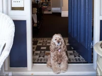 Melba House Boutique B&B 
