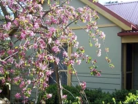 Shelton-Lea Bed & Breakfast 4*
