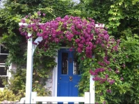 Tubbs Mill House B&B 