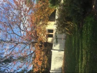 Beach Rd Cottage 