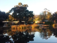 Halls Haven Resort 