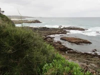 Flat 1/15 Dalmeny Dr 