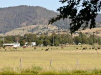 Killarney View Cabins and Caravan Park 