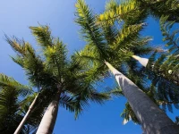 Jacaranda Villa Coffs Harbour 4*