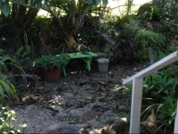 Kyogle Country Stay 