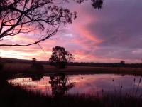 Wind Song Bed & Breakfast 