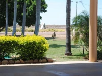 Albert Park Motor Inn 