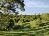 Jacaranda Cottages 