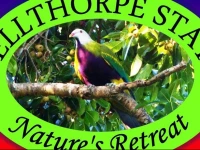 Bellthorpe Stays 4*