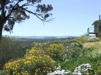 Burnt Creek Cottages 