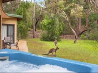 Yelverton Brook Eco Spa Retreat & Conservation Sanctuary 