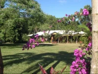 Hibiscus Lodge Bed & Breakfast 