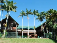 Jackaroo Treehouse Mission Beach 
