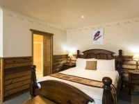Cradle Forest Inn 