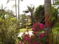 Colonial Palms Motel and Cabins 