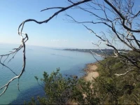 Sea Breeze Studio 