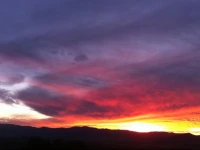 The Bunyip Scenic Rim Resort 
