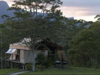 Silk Pavilions 
