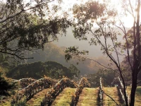 Blue House at Mountainside Wines 