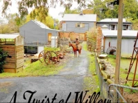 A Twist of Willow 