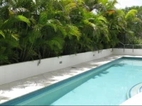 Cilento Mooloolaba 