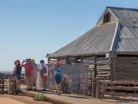 Mungo Lodge 