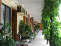 The Wayfarer Motel 4*