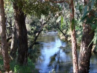 Nannup Riverview Cottage 