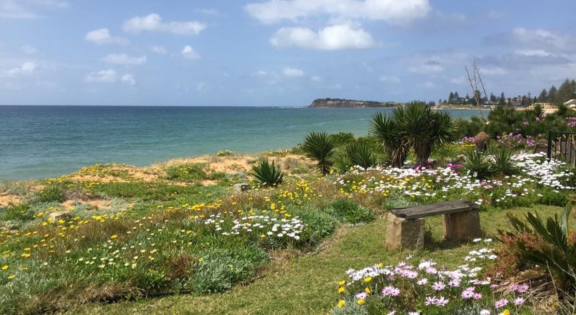 Pearl on Northern Beaches 