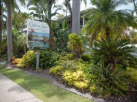 Caribbean Noosa 