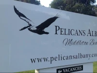 Pelicans Albany Middleton Beach 