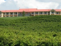 Turners Vineyard Motel 
