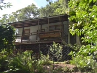 Turmeric Gardens 