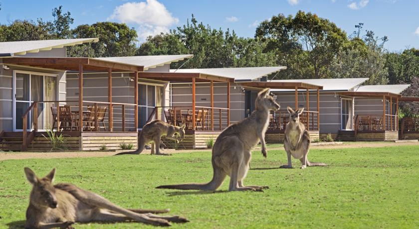 Discovery Parks вЂ“ Pambula Beach 