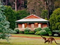 Karri Valley Chalets 